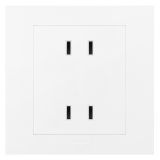 羅格朗開關(guān)插座 輕藝 玉蘭白 雙聯(lián)二扁插座 四孔插座 10A