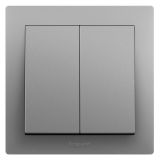 羅格朗開關(guān)插座 博蘊(yùn) 深砂銀 二位單控開關(guān) 二開單控 10AX