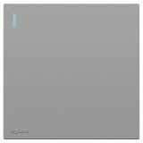 羅格朗開關插座 暢境  藝術灰 一位單控帶指示開關 一開單控 16AX