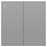 羅格朗開關插座 暢境  藝術灰 二位單控帶指示開關 二開單控 16AX