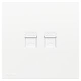 羅格朗開關插座 暢境  玉蘭白 二位電腦插