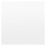 羅格朗開關插座 博駿  玉蘭白 一位單控開關 一開單控 16AX