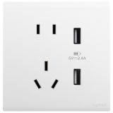 羅格朗開關插座 仕藝Pro 玉蘭白 帶二三插USB充電插座 五孔USB插座