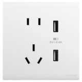 羅格朗開關插座 綺蘊 陶瓷白 帶二三插USB充電插座 五孔USB插座