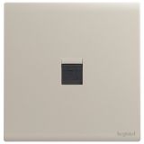 羅格朗開關插座 茗畫 粉鉑金 一位電腦插