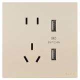 羅格朗開關插座 維翼 粉鉑金 帶二三插USB充電插座 五孔USB插座