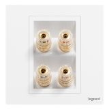 羅格朗開關插座 仕典Plus 陶瓷白 二位音箱插