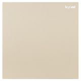 羅格朗開關插座 博軾 粉鉑金 一位單控開關 一開單控 16AX