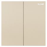 羅格朗開關插座 博軾 粉鉑金 二位單控開關 二開單控 16AX