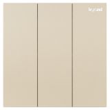 羅格朗開關插座 博軾 粉鉑金 三位雙控開關 三開雙控 10AX