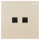 羅格朗開關插座 博軾 粉鉑金 二位電腦插（六類）