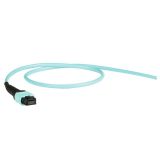 預端接主干光跳MPO(F)-MPO(F) OM3 24F(2x12) Pol.B Ultra LSZH 10m